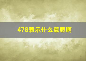 478表示什么意思啊