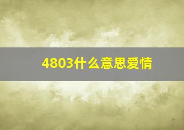 4803什么意思爱情