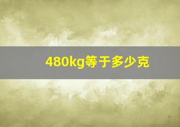 480kg等于多少克