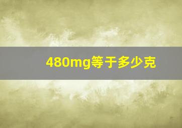 480mg等于多少克