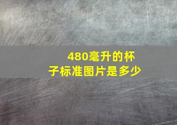 480毫升的杯子标准图片是多少