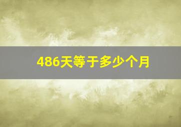 486天等于多少个月