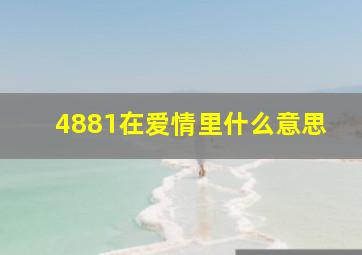 4881在爱情里什么意思