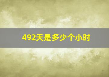 492天是多少个小时