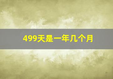 499天是一年几个月