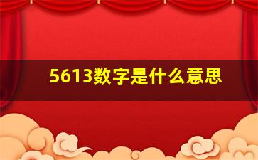 5613数字是什么意思