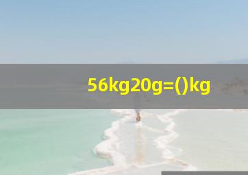 56kg20g=()kg