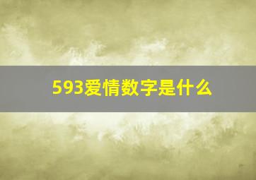 593爱情数字是什么