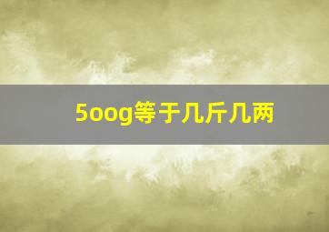 5oog等于几斤几两