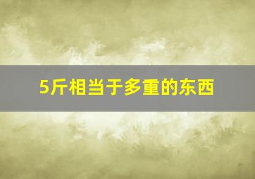 5斤相当于多重的东西