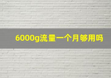 6000g流量一个月够用吗