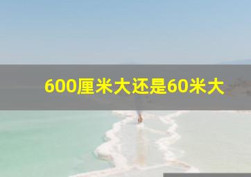 600厘米大还是60米大