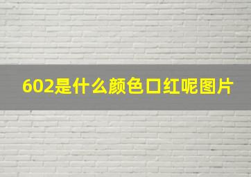 602是什么颜色口红呢图片