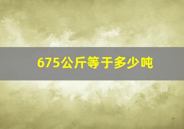 675公斤等于多少吨