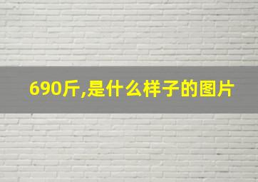 690斤,是什么样子的图片