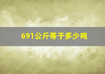 691公斤等于多少吨