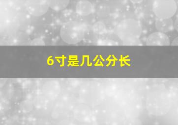 6寸是几公分长