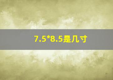 7.5*8.5是几寸