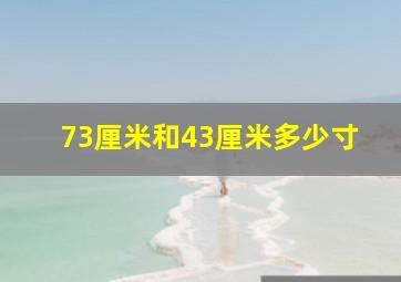 73厘米和43厘米多少寸