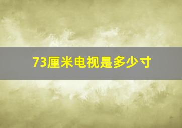 73厘米电视是多少寸