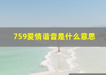 759爱情谐音是什么意思