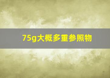 75g大概多重参照物