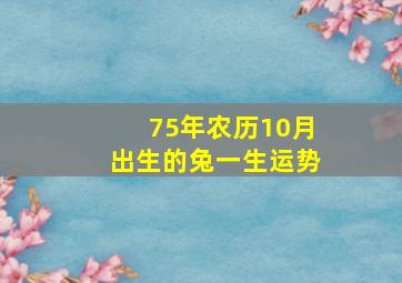 75年农历10月出生的兔一生运势