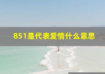 851是代表爱情什么意思