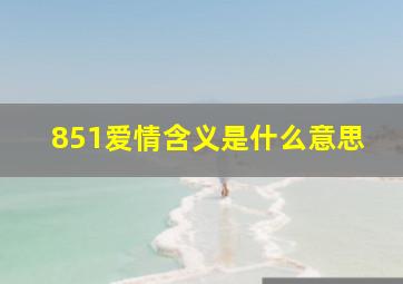 851爱情含义是什么意思