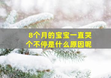 8个月的宝宝一直哭个不停是什么原因呢