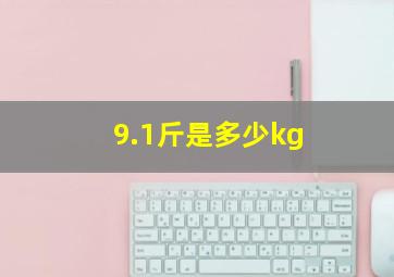 9.1斤是多少kg