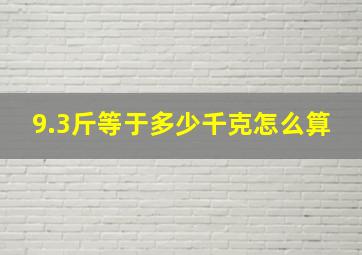 9.3斤等于多少千克怎么算