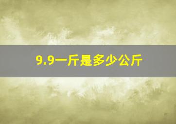 9.9一斤是多少公斤