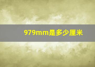 979mm是多少厘米