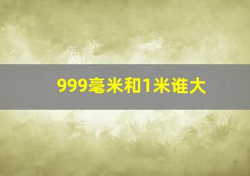 999毫米和1米谁大