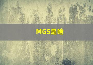 MGS是啥