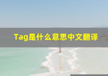 Tag是什么意思中文翻译