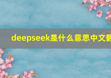 deepseek是什么意思中文翻