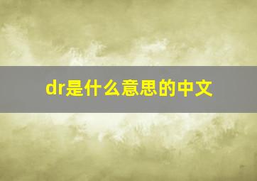 dr是什么意思的中文