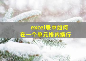 excel表中如何在一个单元格内换行