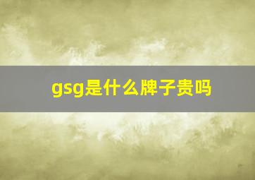 gsg是什么牌子贵吗