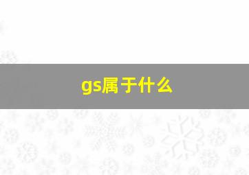 gs属于什么