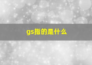 gs指的是什么