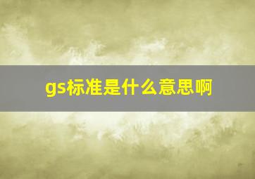 gs标准是什么意思啊