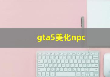 gta5美化npc