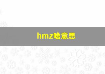 hmz啥意思