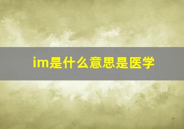 im是什么意思是医学