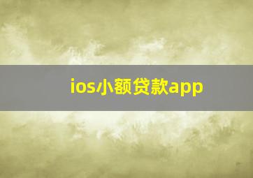 ios小额贷款app