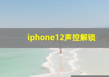 iphone12声控解锁