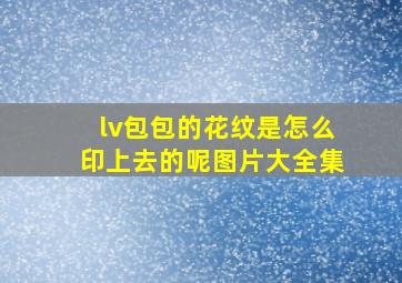 lv包包的花纹是怎么印上去的呢图片大全集